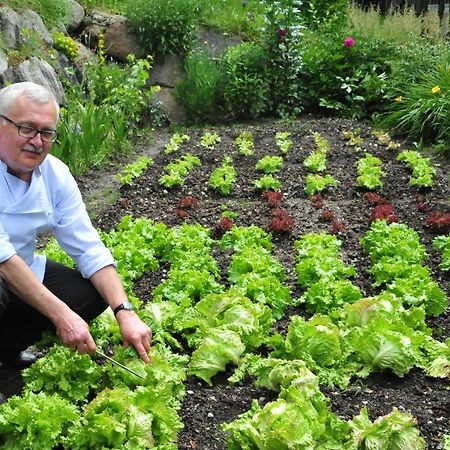 Pension Harrasser Falzes Extérieur photo